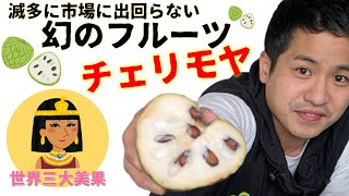 【出回らない果物】世界三大美果「チェリモヤ」産地・食べ頃や味・アテモヤとバンレイシとの違い・旬の時期・歴史までたっぷりお届け！【輸入フルーツ専門仲卸・まつこうが伝授】【海外フルーツ】 [upl. by Inna]