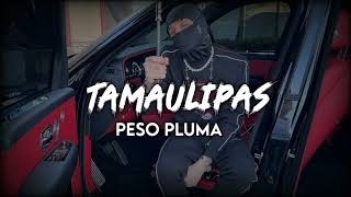 PESO PLUMA ❌ TAMAULIPAS 💀 INEDITO CORRIDOS2023 [upl. by Emelda]