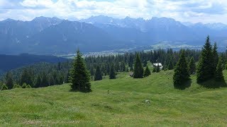 Wallgauer  und Krüner Alm [upl. by Rednaxela]