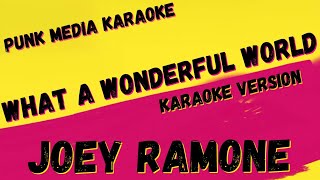 JOEY RAMONE ✴ WHAT A WONDERFUL WORLD ✴ KARAOKE INSTRUMENTAL PMK [upl. by Enirehtac]