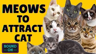 Sounds that attract cats 🔊 Meow to make cats come to you 🐈🐈🐈 IT REALLY WORKS GUARANTEED [upl. by Alicul314]