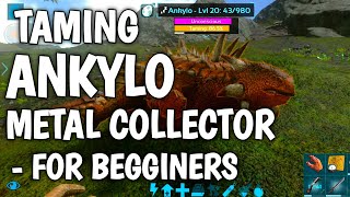 TAMING AN ANKYLOSAURUS METAL COLLECTOR  ARK Survival Evolved Mobile In HINDI [upl. by Rika]