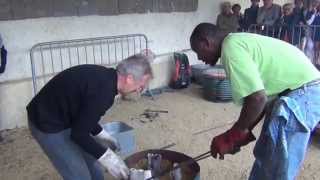 Technique du Coulage du Bronze à la Cire Perdue avec Bamadou Traoré Sculpteur Burkinabè [upl. by Madeleine186]