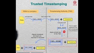 What is Digital Timestamping [upl. by Eiramlehcar934]