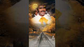 Los Mandados Vicente Fernández 🌹🌹🌹 [upl. by Eeral]