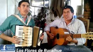 Los Flores de Rucalhue amp Acordeón y Guitarra [upl. by Jenkins]