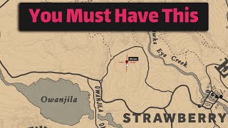 A very important item that you must obtain as soon as possible  RDR2 [upl. by Dlorag248]