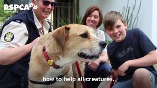 Become an RSPCA Junior Rescue Officer and help save animals [upl. by Alphonsine]