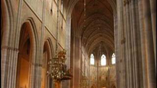 Uppsala  Lutheran Cathedral  Vocal [upl. by Henrietta]