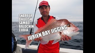 JURIEN BAY JIGGING  Dhufish Snapper Baldchin Cobia [upl. by Leamse]