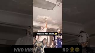 A Stunad’s Way of Spackling 101 😭🤦😱 reaction dog viral funny [upl. by Pero]