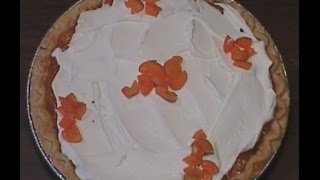 Quick Homemade Apricot Pie [upl. by Beutner]