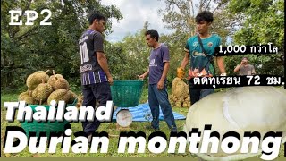 Durian monthong thailand asmr [upl. by Raamal]