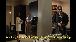 Breaking Bad Review 05x16 quotFelinaquot Reaction amp Recap [upl. by Llenrod]