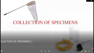 COLLECTION OF SPECIMENS [upl. by Kopple]