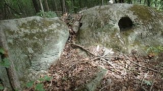 Mysterious ROCK and SC BUTTON found while Metal Detecting  Nugget Noggin [upl. by Ecnaiva]