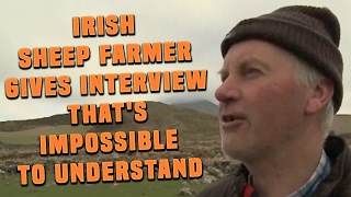 Irish Sheep Farmer With Incredibly Strong Accent Gives Interview Thats Impossible To Understand [upl. by Dylane979]