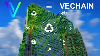 Can Vet Price Rebound Latest Updates On Vechain News [upl. by Deeyn]