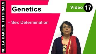 Genetics  Principles of Inheritance amp Variations  NEET  Sex Determination  Neela Bakore Tutorial [upl. by Rhyne296]