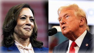 The 2024 Presidential Election As Of August 1 2024  Harris vs Trump [upl. by Nonnac986]