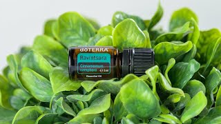 doTERRA Ravintsara 5ml  Translated Subtitles [upl. by Pardoes]