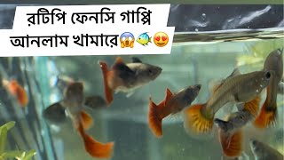 খামারে রটিপি ফেনসি গাপ্পি মাছ আনলাম😱🐠😍 [upl. by Nellek]