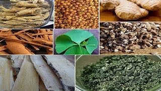 Best Herbs for Energy Using Natural Herbal Stimulants [upl. by Ky]