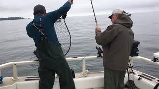 2018 Highlights Salmon Eye Charters Ucluelet BC [upl. by Elizabeth595]