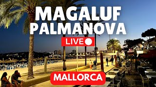 🔴 LIVE Palmanova amp Magaluf Majorca Mallorca  16 September 2023 [upl. by Aymer844]