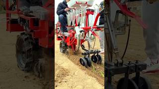 Onion planting machine shorts agriculturemodernfarmer youtbeshortsnoamanreactioncropmanagement [upl. by Noryak532]