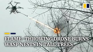 Flamethrowing drone burns wasp nests in tall trees in China [upl. by Eruza]