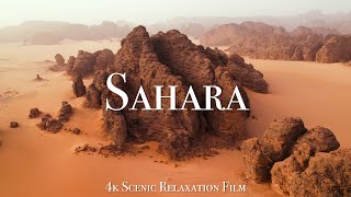 The Sahara 4K  Scenic Relaxation Film With Calming Music [upl. by Kerril]