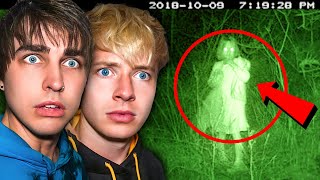 Disturbing Forest Encounters Caught on Camera [upl. by Gan]