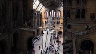 Natural History Museum in London UK 🦖🇬🇧 museum naturalhistory london [upl. by Eatnad]