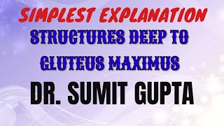 STRUCTURES DEEP TO GLUTEUS MAXIMUS MUSCLE [upl. by Aimat877]