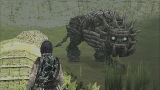 Shadow of the Colossus Cenobia Boss Fight  14th Colossus PS3 1080p [upl. by Halsy253]