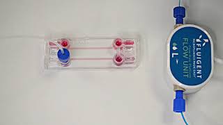 BeFlow Microfluidic setup Fluigent pump [upl. by Anairdna]