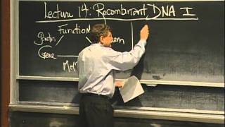 Overview of Recombinant DNA excerpt 1  MIT 701SC Fundamentals of Biology [upl. by Rurik]