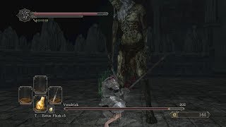 Dark Souls 2  Boss Fight  King Vendrick W Soul Location [upl. by Ayekram]