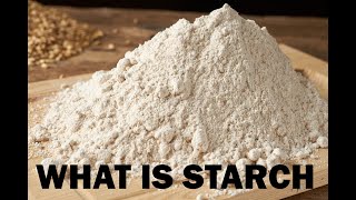 What is Starch  starch kya hota hai  starch powder  BIOLOGY WALLAH NILESH ANANDWANI [upl. by Alliuqahs]