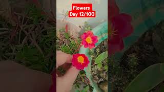 flowers day 12100lovetrending [upl. by Einahpets859]