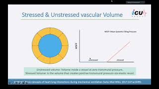 Basic Physiology in Hemodynamics [upl. by Michell]