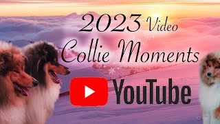 2023 collie friends [upl. by Aiello]