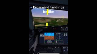 Crosswind landings be like aviation crosswinds [upl. by Vally]