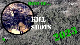 Caccia  Hunting  Shot COMPILATION 005 [upl. by Idyh713]