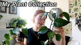 Bedroom Plant Tour 🌿My Houseplant Collection  Ruby and Raylee [upl. by Natie928]