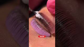 Lash lift tutorial beautiful beauty lashes lashlift shorts horbacholli [upl. by Aubreir]