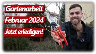 Gartenarbeit Februar  Pfirsichbaum schneiden Jungpflanzen auspflanzen Vorgarten Regrowing [upl. by Redd917]