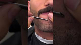 Perfecting The Art Of Moustache Cutting Techniques [upl. by Shelby135]