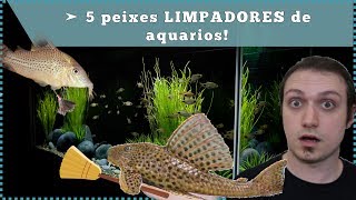 5 peixes LIMPADORES de aquário [upl. by Eissen229]